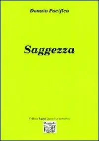 Saggezza Spedizione Espresso