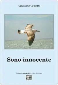 Acquista Ora Sono innocente