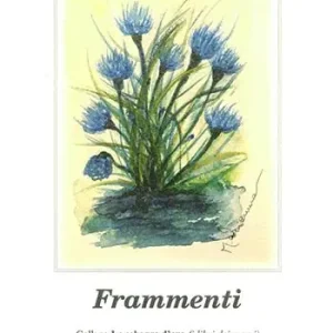 Occasione Frammenti