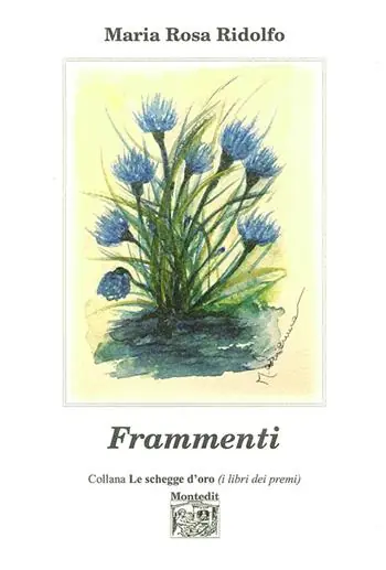 Occasione Frammenti