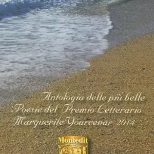 Antologia del premio Marguerite Yourcenar 2014 Scelto Dai Clienti