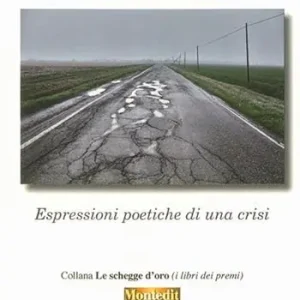 Ultimissimo Modello La lunga strada. Espressioni poetiche di una crisi