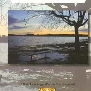 Occasione Urlo in silenzio
