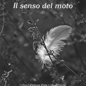 Il senso del moto Offerta Del Giorno