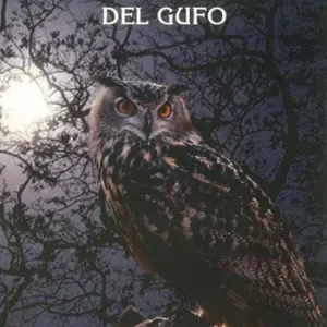 Promozione La solitudine del gufo