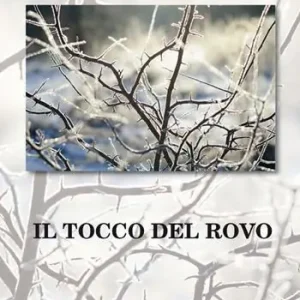 Soddisfatti O Rimborsati Il tocco del rovo