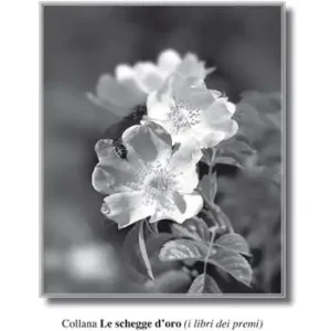 Soddisfatti O Rimborsati Rosa canina