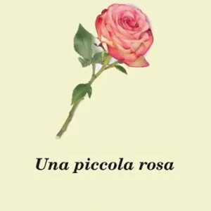Offerta Del Giorno Una piccola rosa
