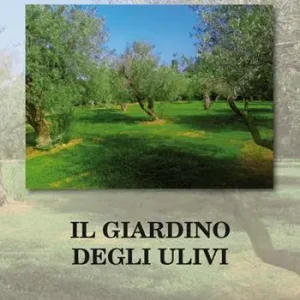 Solo Oggi Il giardino degli ulivi
