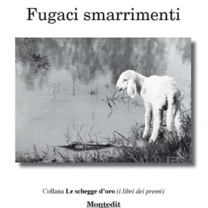 Offerta Limitata Fugaci smarrimenti
