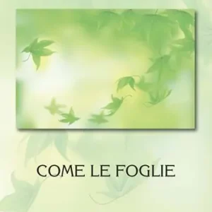 Come le foglie Direttamente Dal Produttore