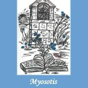 Myosotis Offerta Lampo