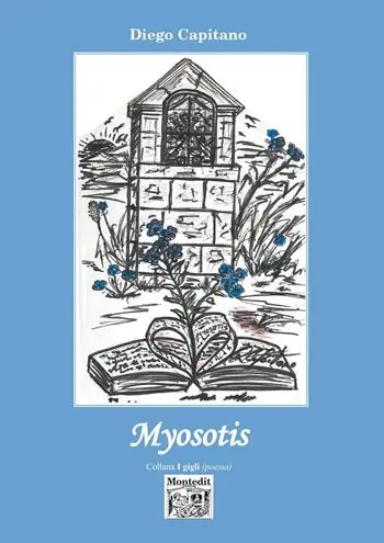 Myosotis Offerta Lampo