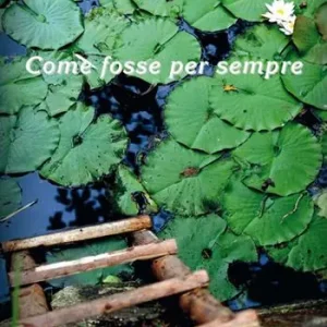 Ultima Occasione Come fosse per sempre