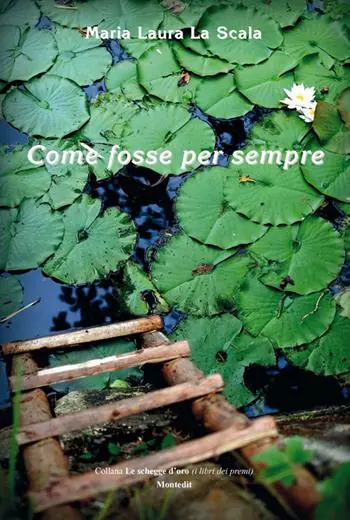 Ultima Occasione Come fosse per sempre