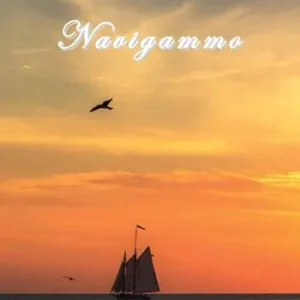 Navigammo Direttamente Dal Produttore