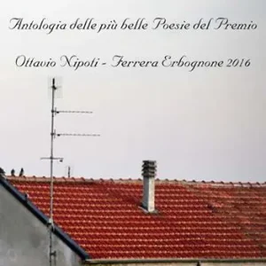 Antologia delle più belle poesie del premio Ottavio Napoli, Ferrera Erbognone 2016 Compra Oggi Stesso
