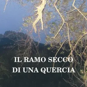 Il ramo secco di una quercia Esclusivo