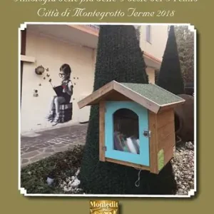 Occasione Antologia delle più belle poesie del Premio letterario Olympia città di Montegrotto Terme 2018