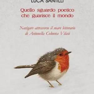Nuova Collezione Quello sguardo poetico che guarisce il mondo. Navigare attraverso il mare letterario di Antonella Colonna Vilasi