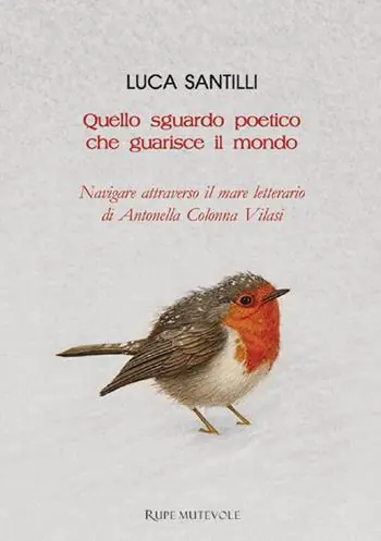 Nuova Collezione Quello sguardo poetico che guarisce il mondo. Navigare attraverso il mare letterario di Antonella Colonna Vilasi
