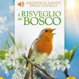 Super Prezzo Il risveglio del bosco. Ediz. a colori