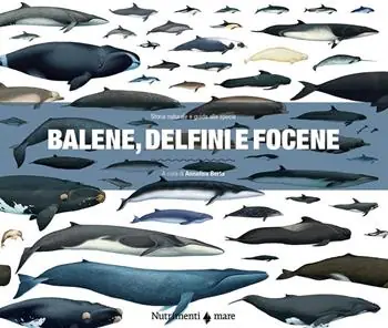Solo Oggi Balene, delfini e focene. Storia naturale e guida alle specie