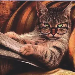 Lettere al gatto Promo Stagionale