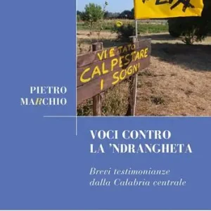 Voci contro la ‘Ndrangheta. Brevi testimonianze dalla Calabria centrale Affare