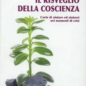 Risveglio della coscienza Vendita Finale
