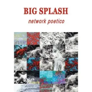 Big spalsh network poetico. Ediz. italiana e inglese Di Tendenza