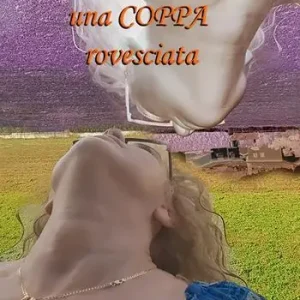 Una coppa rovesciata Compra Online