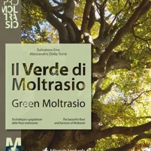 Must-Have Il verde di Moltrasio. Tra bellezze e spigolature della flora moltrasiana-Green Moltrasio. The beautiful flora and harvests of Moltrasio