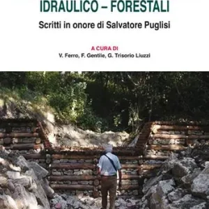 Attualità delle sistemazioni idraulico-forestali. Scritti in onore di Salvatore Puglisi Nuova Collezione