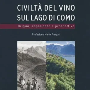 Civiltà del vino sul lago di Como. Origini, esperienze, prospettive. Ediz. a colori Non Perdere