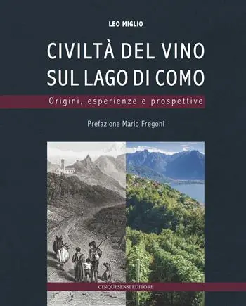Civiltà del vino sul lago di Como. Origini, esperienze, prospettive. Ediz. a colori Non Perdere