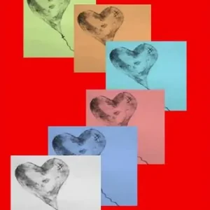 Cuore volante. III edizione premio letterario nazionale letteratura italiana contemporanea. Sez. poesia Promozione Esclusiva