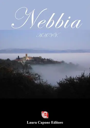 Subito Disponibile Nebbia