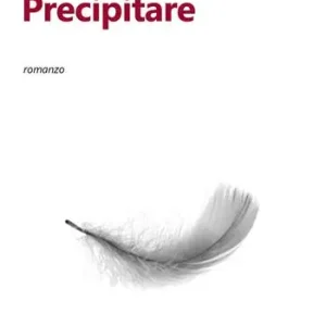 Precipitare Prezzo Conveniente